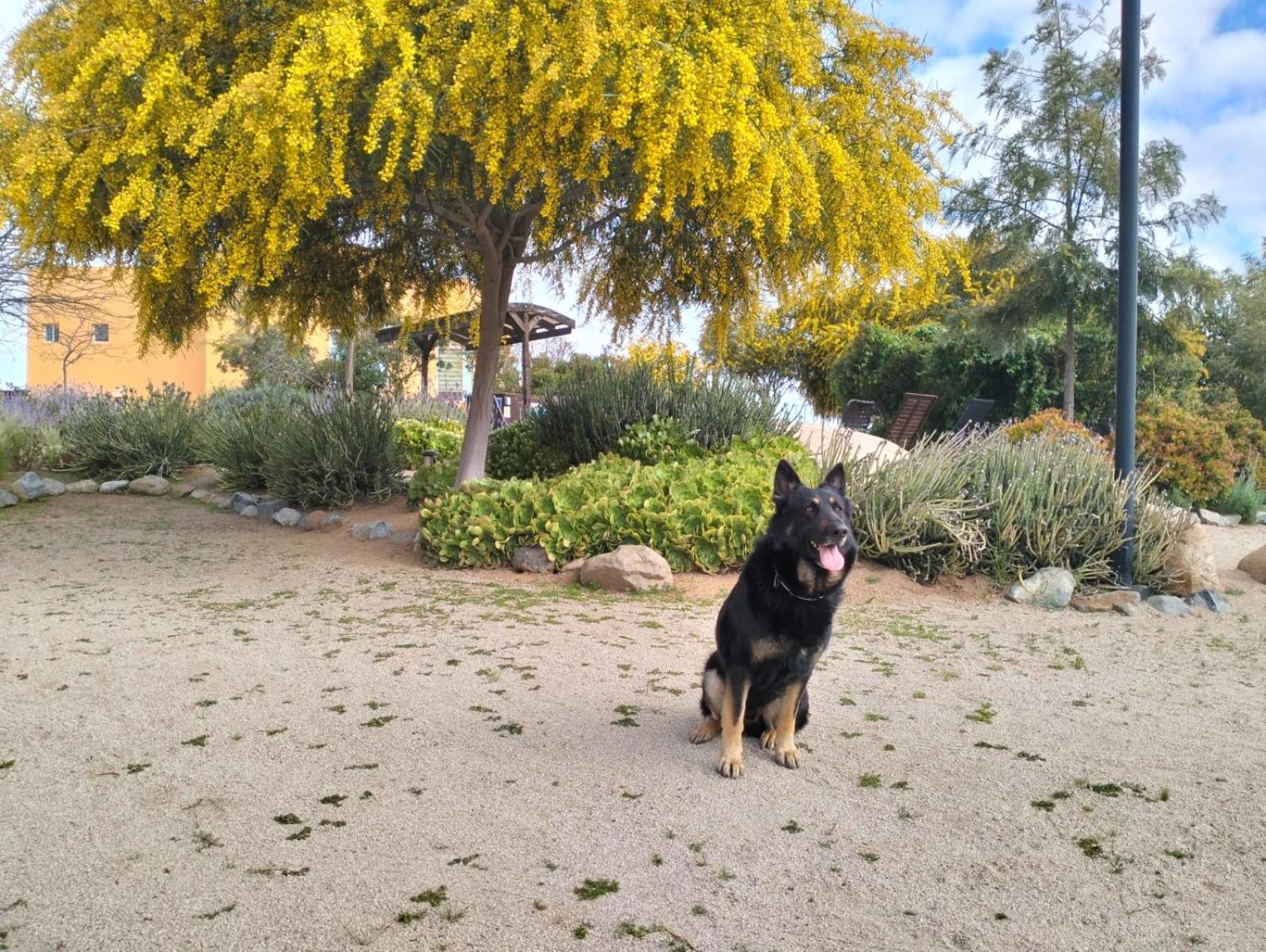 Quinta Lorame Hotel Villa de Juarez Kültér fotó
